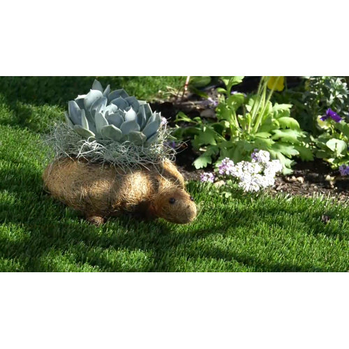 August Grove® Elsaid Animal Topiary Coco Liner Statue Planter Wayfair